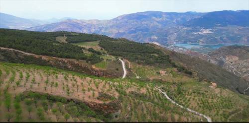 imagen 12 de Cortijo Puerta "Valle de Lecrín"