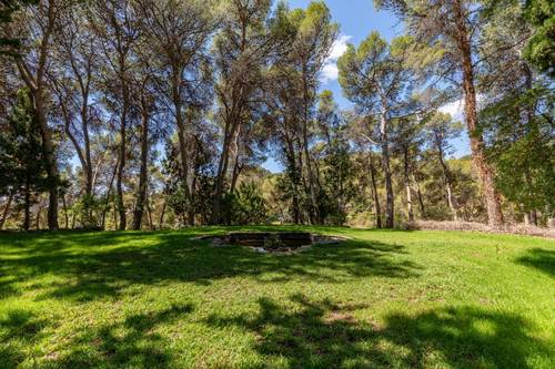 imagen 12 de Exclusivo château en la Sierra Calderona
