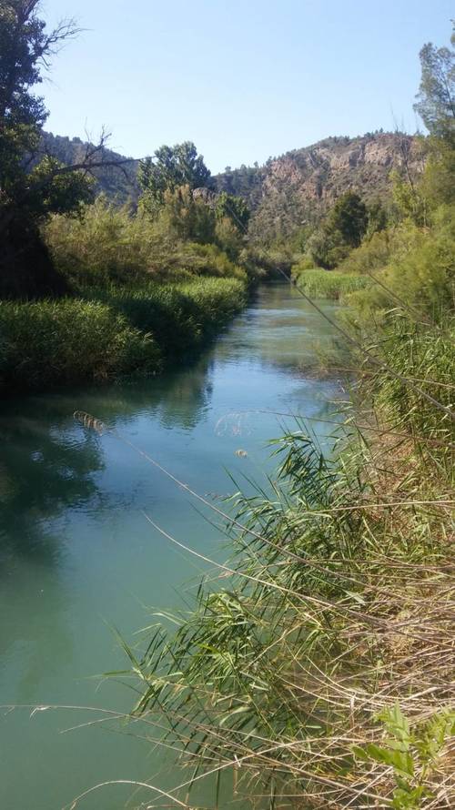 imagen 3 de Finca en las Hoces del Cabriel
