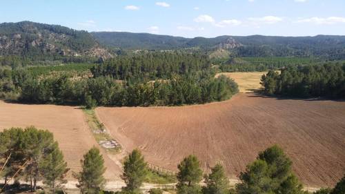 imagen 5 de Finca en las Hoces del Cabriel