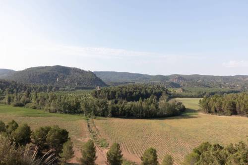 imagen 8 de Finca en las Hoces del Cabriel