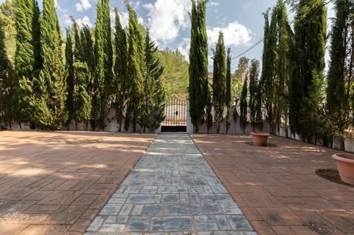 imagen 9 de Finca en las Hoces del Cabriel