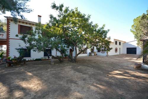 imagen 12 de Preciosa finca al Sur de Castellón