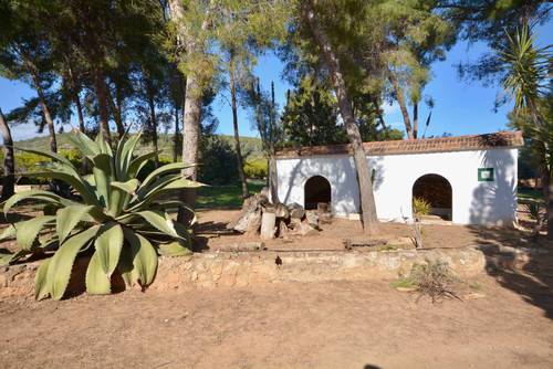imagen 14 de Preciosa finca al Sur de Castellón