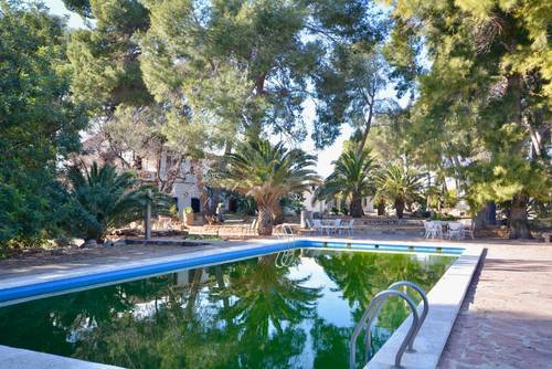 imagen 15 de Preciosa finca al Sur de Castellón
