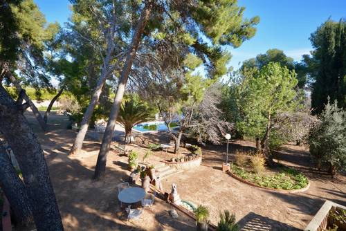 imagen 18 de Preciosa finca al Sur de Castellón