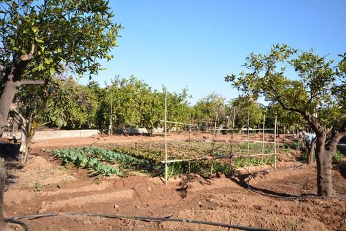 imagen 25 de Preciosa finca al Sur de Castellón
