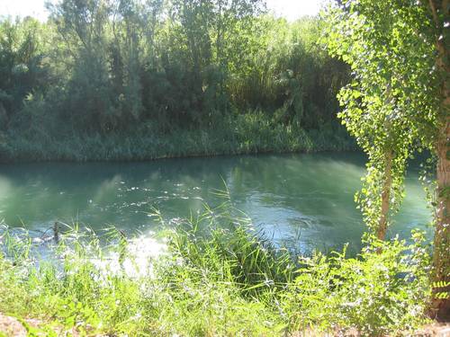 imagen 6 de Exclusiva Finca y Bodega en Requena