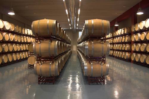 imagen 3 de Exclusiva Finca y Bodega en Requena