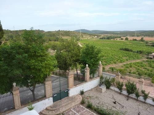 imagen 13 de Exclusiva Finca y Bodega en Requena