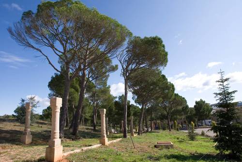 imagen 2 de Exclusiva Finca y Bodega en Requena