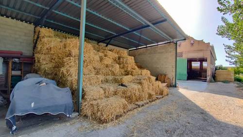 imagen 8 de Cortijo Señorial Andaluz en Granada