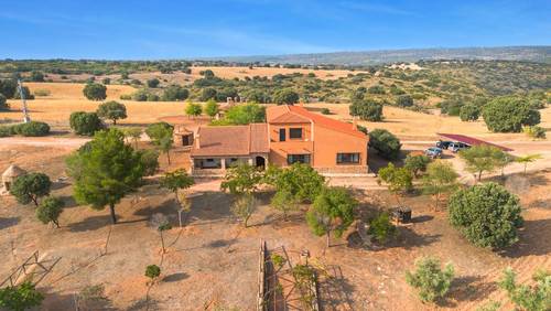 imagen 9 de Venta de finca de caza y agricultura Ciudad Real