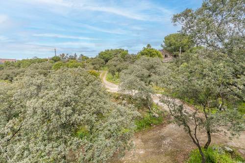 imagen 8 de Exclusiva propiedad en Torrelodones, en plena naturaleza con vistas protegidas