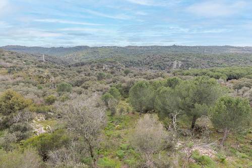 imagen 22 de Exclusiva propiedad en Torrelodones, en plena naturaleza con vistas protegidas