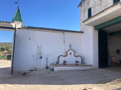imagen 9 de SE VENDE CORTIJO EN RUTE (Córdoba)