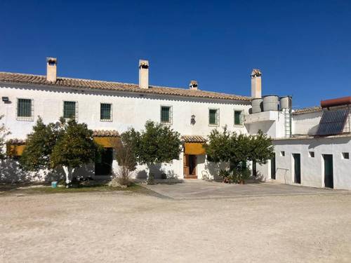 imagen 4 de SE VENDE CORTIJO EN RUTE (Córdoba)