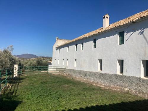 imagen 24 de SE VENDE CORTIJO EN RUTE (Córdoba)