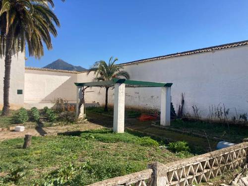 imagen 7 de SE VENDE CORTIJO EN RUTE (Córdoba)