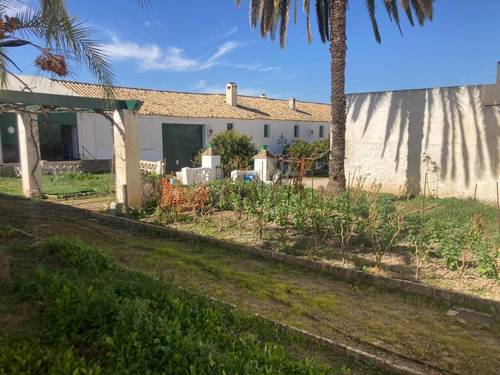 imagen 8 de SE VENDE CORTIJO EN RUTE (Córdoba)