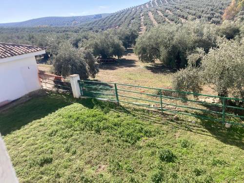 imagen 1 de SE VENDE CORTIJO EN RUTE (Córdoba)