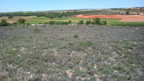 imagen 1 de Vendo terreno de 2 has en Santa María de los Llanos (Cuenca)