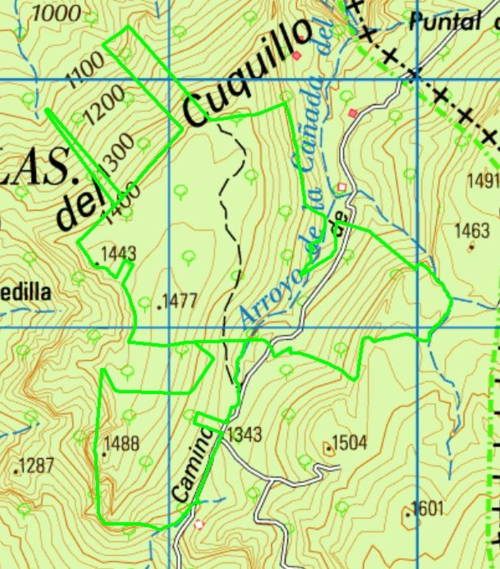 imagen 2 de Pinares y pastos en Sierra de Segura