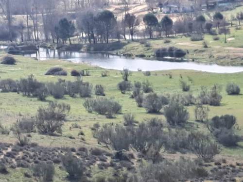 imagen 3 de FINCA RÚSTICA MADRID DE RECREO Y PARA NEGOCIO