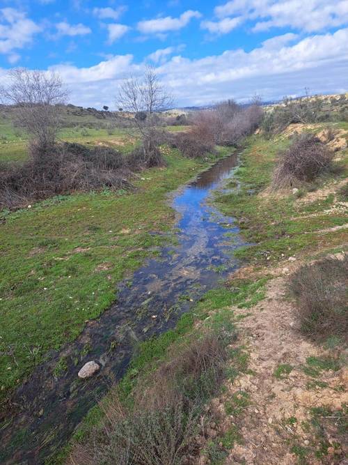 imagen 2 de FINCA RÚSTICA MADRID DE RECREO Y PARA NEGOCIO