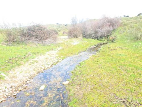 imagen 1 de FINCA RÚSTICA MADRID DE RECREO Y PARA NEGOCIO