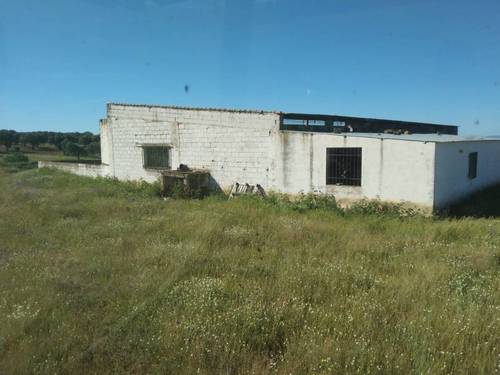 imagen 29 de Explotación ganadera y cinegética en Córdoba