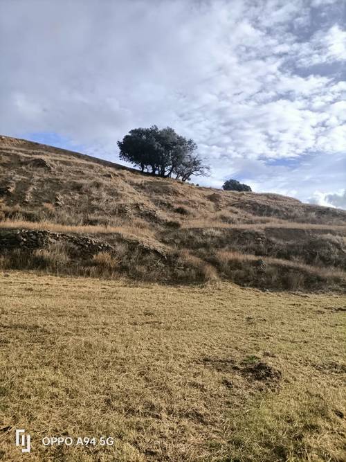 imagen 9 de La chaparra