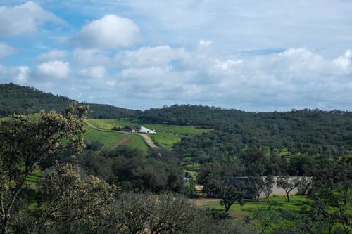 imagen 1 de Finca de 50 hectáreas con 20.000 alcornoques en Rosal de la Frontera (Huelva)