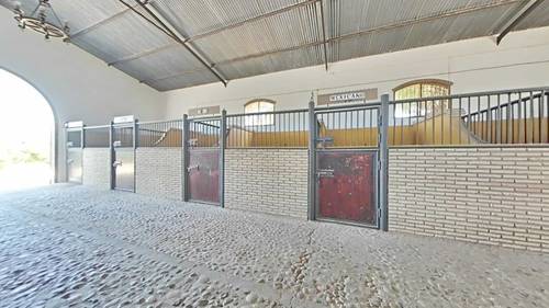 imagen 23 de SE VENDE - YEGUADA EL CHAPARAL