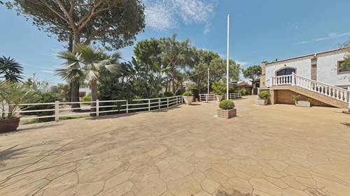 imagen 14 de SE VENDE - YEGUADA EL CHAPARAL