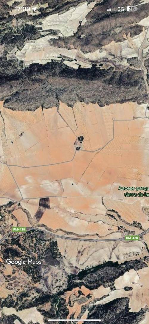 imagen 1 de Finca agrícola en Jumilla