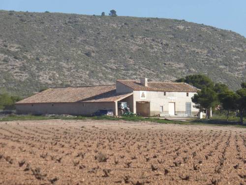 imagen 2 de Finca agrícola en Jumilla