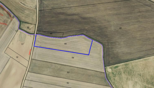 imagen 9 de En venta 29,7 ha agricola secano. Tierra de Campos