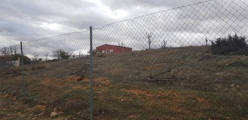 imagen 3 de FINCA RUSTICA