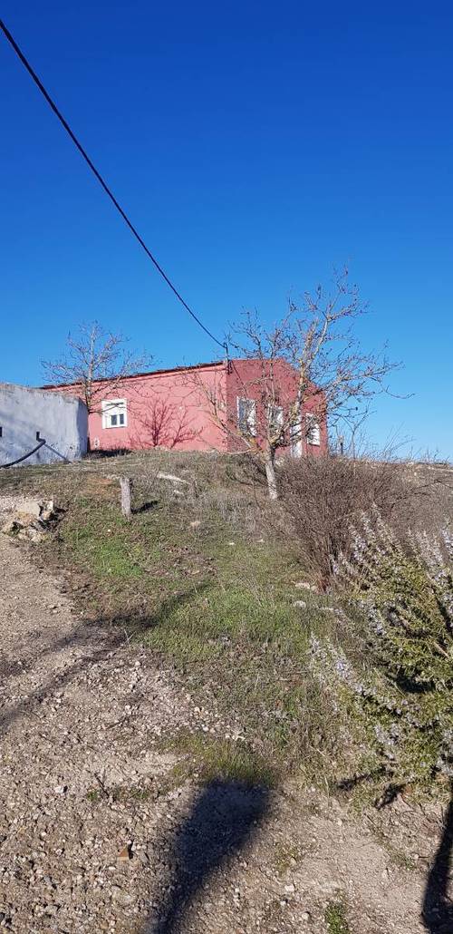 imagen 1 de FINCA RUSTICA