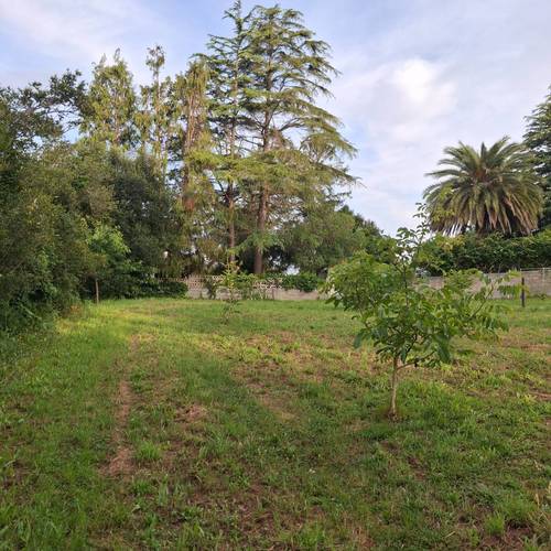 imagen 1 de Aporto finca a proyecto de Ocio o Agricultura Innovadora