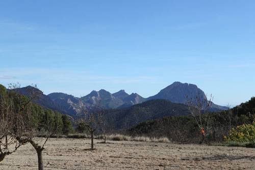 imagen 2 de FINCA PENICHET