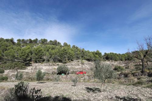 imagen 8 de FINCA PENICHET