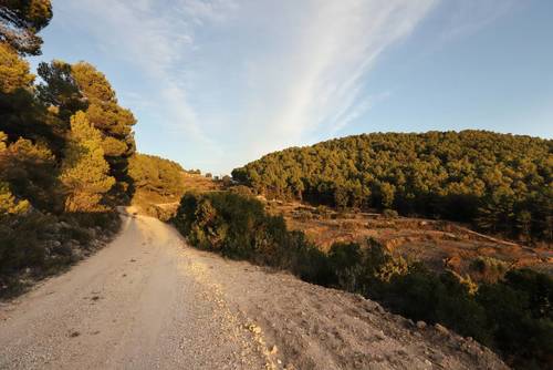 imagen 21 de FINCA PENICHET
