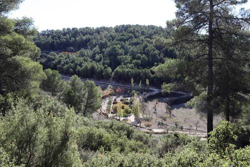 imagen 1 de FINCA PENICHET