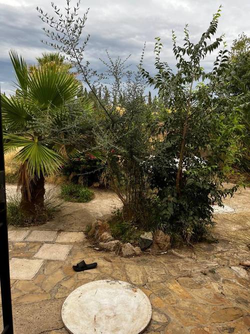imagen 7 de Finca Ganadera
