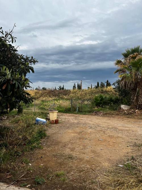 imagen 8 de Finca Ganadera