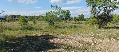 imagen 2 de Finca agrícola en alquiler