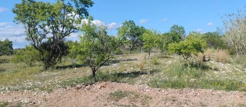 imagen 1 de Finca agrícola en alquiler