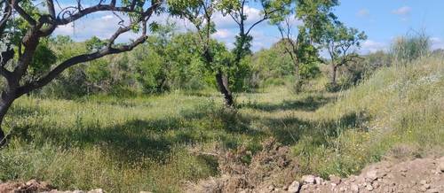 imagen 3 de Finca agrícola en alquiler